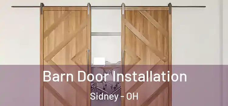 Barn Door Installation Sidney - OH