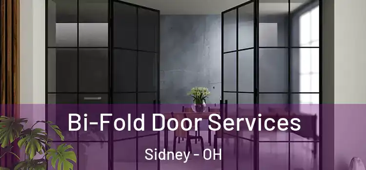  Bi-Fold Door Services Sidney - OH