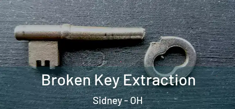  Broken Key Extraction Sidney - OH