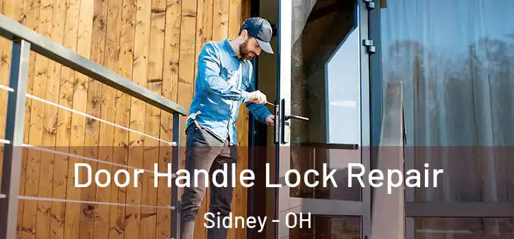 Door Handle Lock Repair Sidney - OH