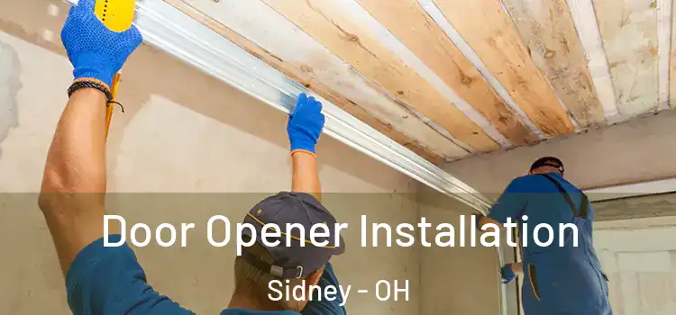 Door Opener Installation Sidney - OH