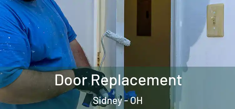 Door Replacement Sidney - OH