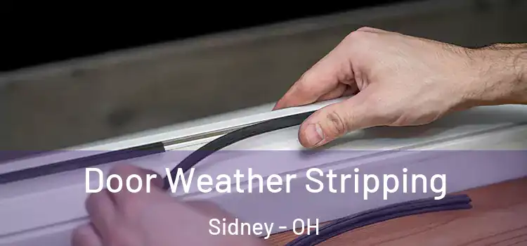  Door Weather Stripping Sidney - OH