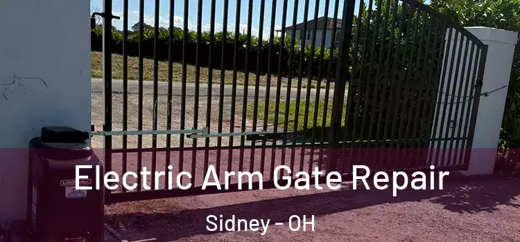 Electric Arm Gate Repair Sidney - OH