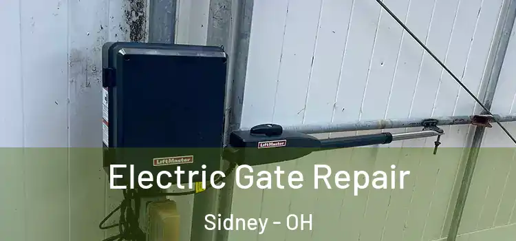  Electric Gate Repair Sidney - OH