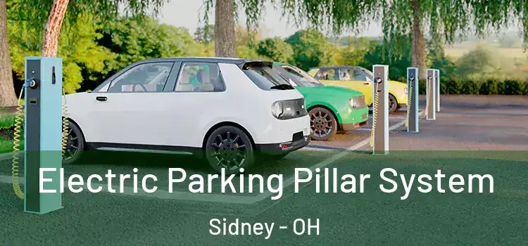  Electric Parking Pillar System Sidney - OH