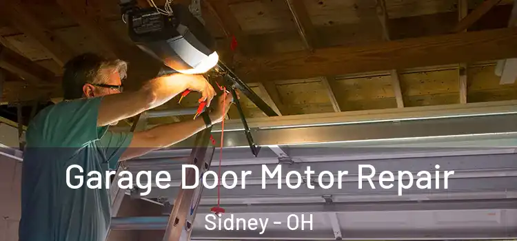  Garage Door Motor Repair Sidney - OH