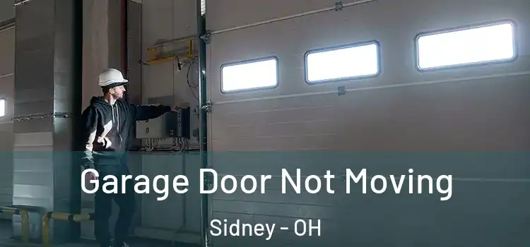  Garage Door Not Moving Sidney - OH
