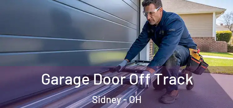  Garage Door Off Track Sidney - OH