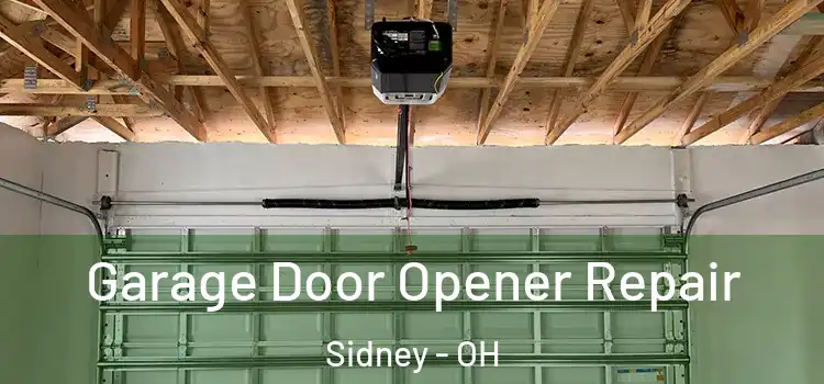  Garage Door Opener Repair Sidney - OH