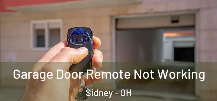  Garage Door Remote Not Working Sidney - OH