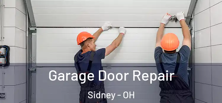  Garage Door Repair Sidney - OH