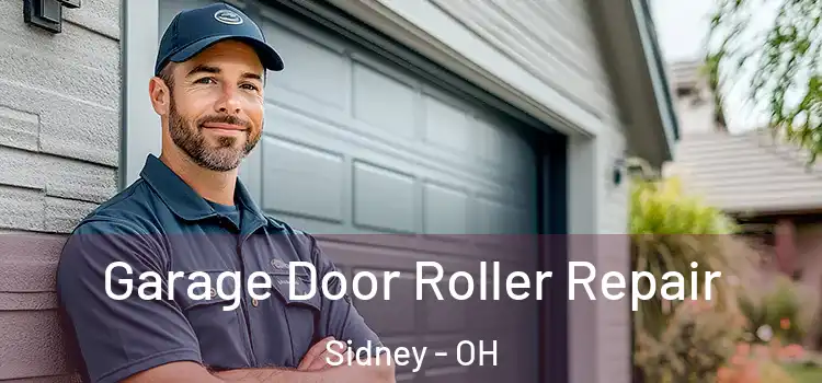  Garage Door Roller Repair Sidney - OH
