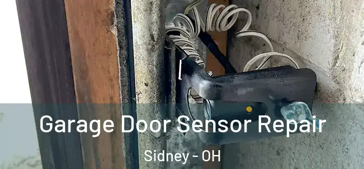 Garage Door Sensor Repair Sidney - OH