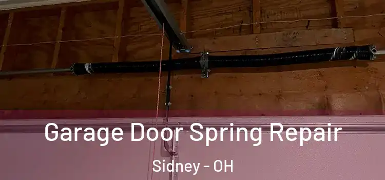  Garage Door Spring Repair Sidney - OH