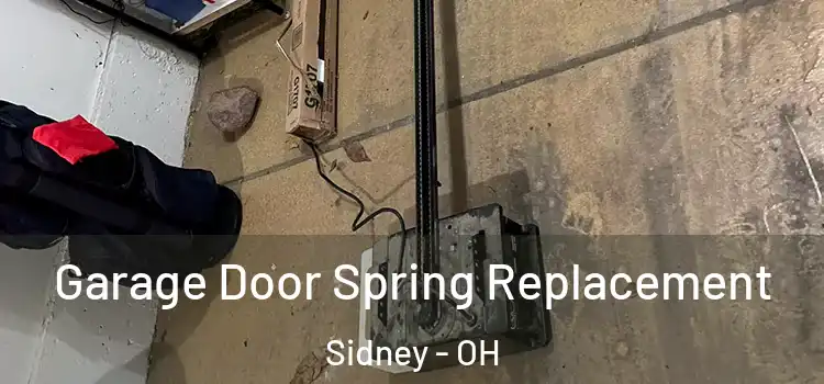  Garage Door Spring Replacement Sidney - OH