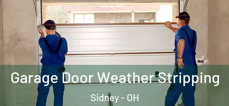  Garage Door Weather Stripping Sidney - OH
