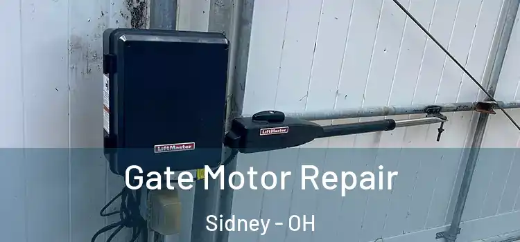  Gate Motor Repair Sidney - OH