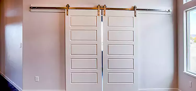 Glass Barn Door with Installation Hardware Kit Sidney