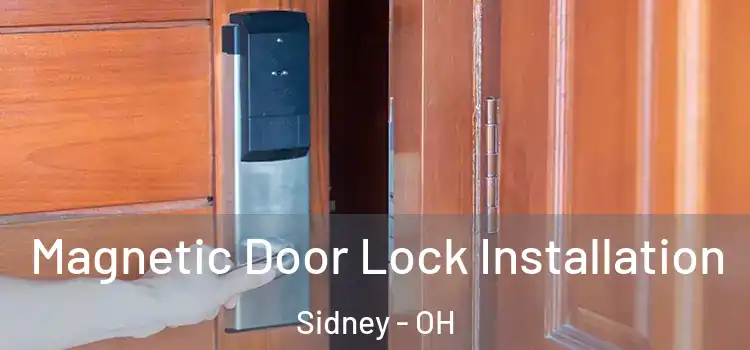  Magnetic Door Lock Installation Sidney - OH