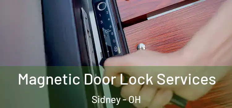 Magnetic Door Lock Services Sidney - OH