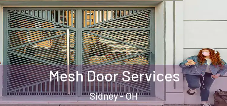 Mesh Door Services Sidney - OH