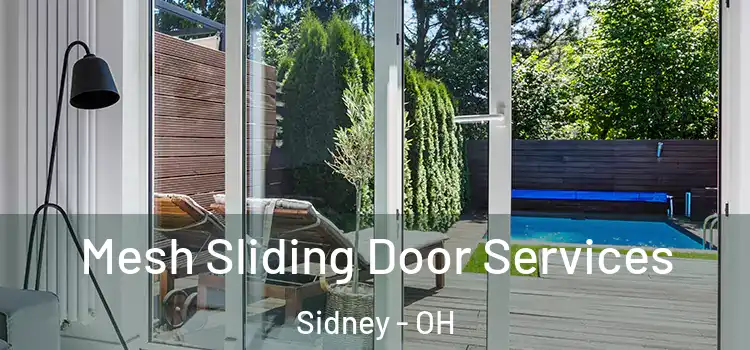 Mesh Sliding Door Services Sidney - OH