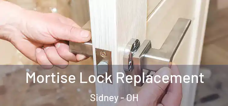  Mortise Lock Replacement Sidney - OH