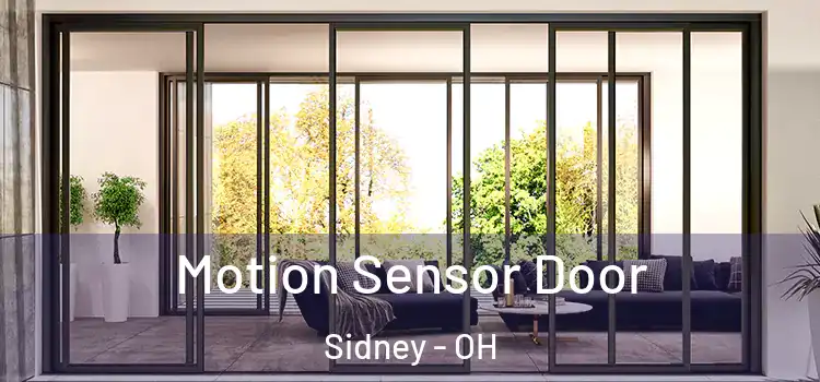 Motion Sensor Door Sidney - OH