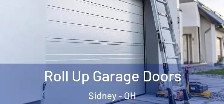  Roll Up Garage Doors Sidney - OH