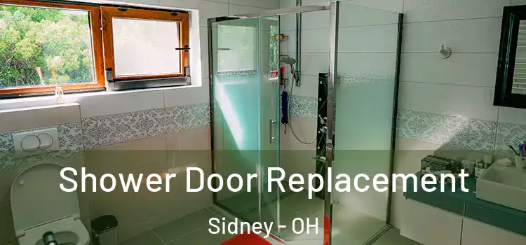  Shower Door Replacement Sidney - OH