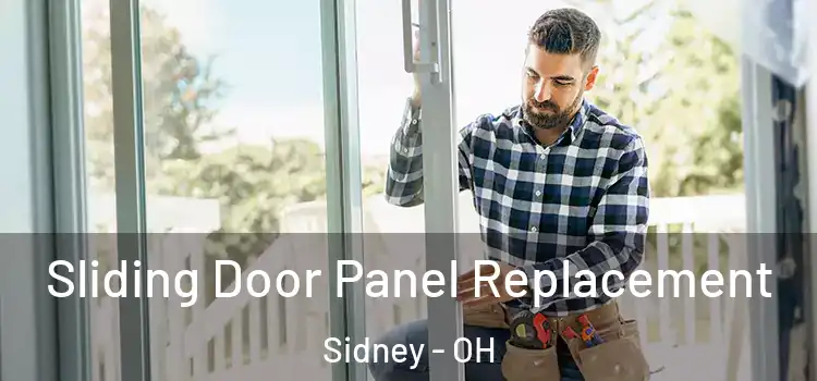  Sliding Door Panel Replacement Sidney - OH