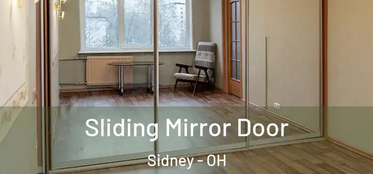  Sliding Mirror Door Sidney - OH