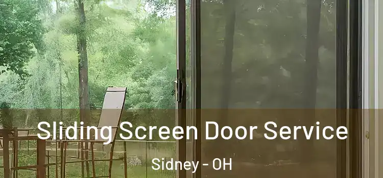  Sliding Screen Door Service Sidney - OH